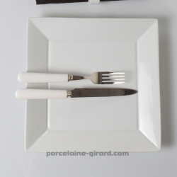 ASSIETTE JAPAN 25.5CM  /